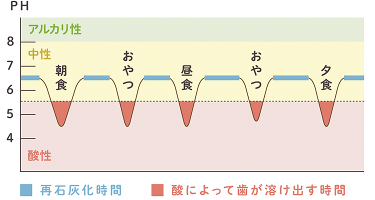 規則正しい食事の場合